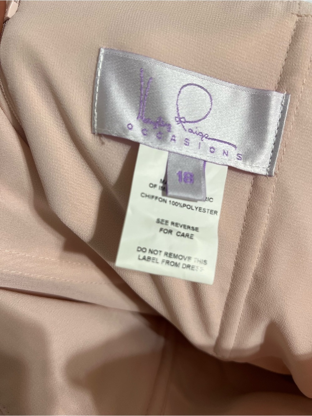 Chiffon Ruched V-Neck Maxi Dress in Light Blush - Picture 5 of 12